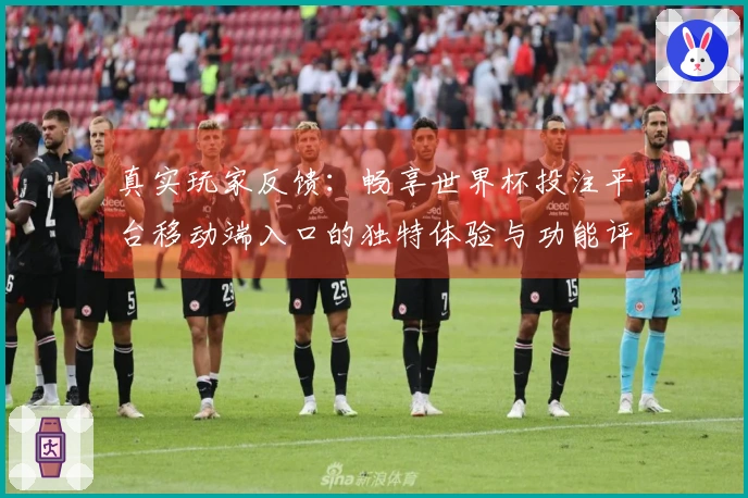 真实玩家反馈：畅享世界杯投注平台移动端入口的独特体验与功能评测
