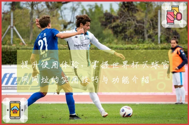 提升使用体验,掌握世界杯买球官网网址的实用技巧与功能介绍