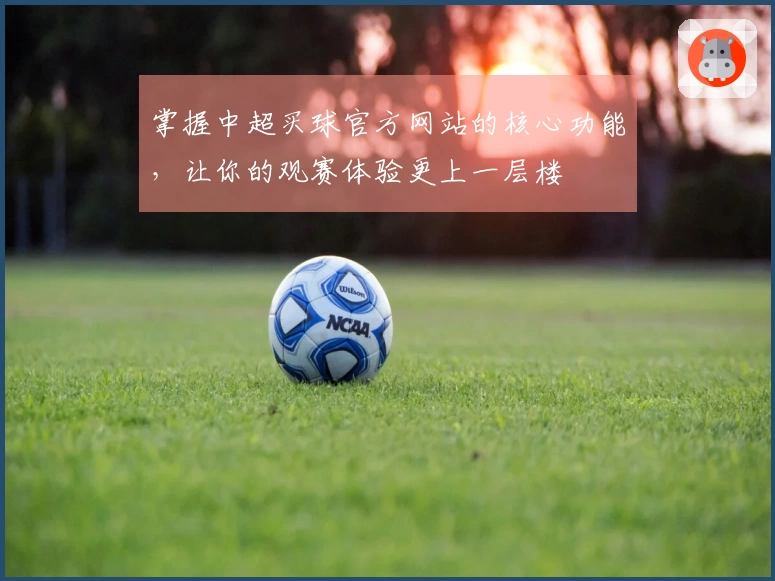 掌握中超买球官方网站的核心功能，让你的观赛体验更上一层楼