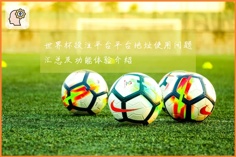 世界杯投注平台平台地址使用问题汇总及功能体验介绍