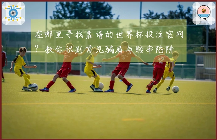 在哪里寻找靠谱的世界杯投注官网？教你识别常见骗局与赔率陷阱