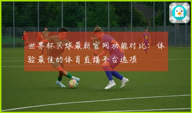 世界杯买球最新官网功能对比：体验最佳的体育直播平台选项