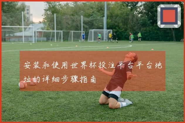 安装和使用世界杯投注平台平台地址的详细步骤指南