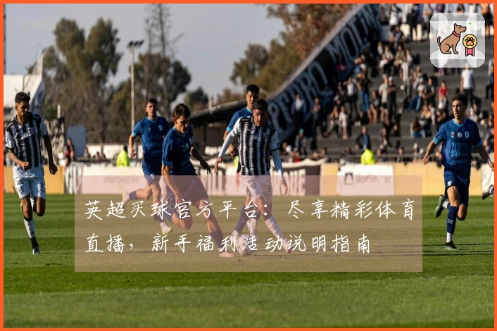 英超买球官方平台：尽享精彩体育直播，新手福利活动说明指南