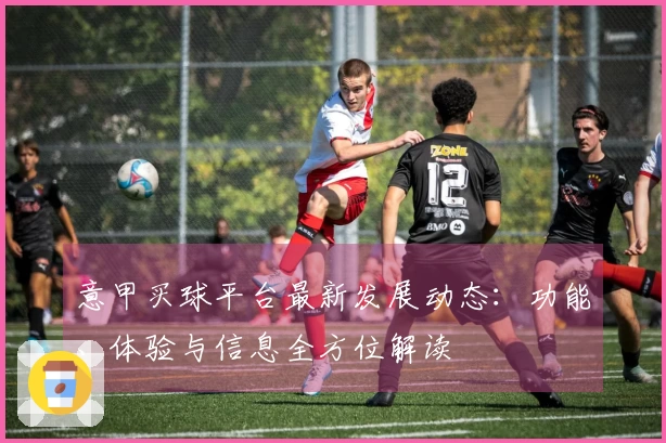 意甲买球平台最新发展动态：功能、体验与信息全方位解读