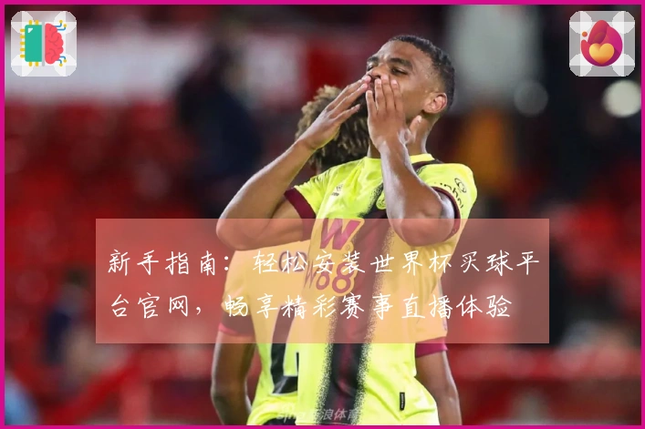 新手指南：轻松安装世界杯买球平台官网，畅享精彩赛事直播体验